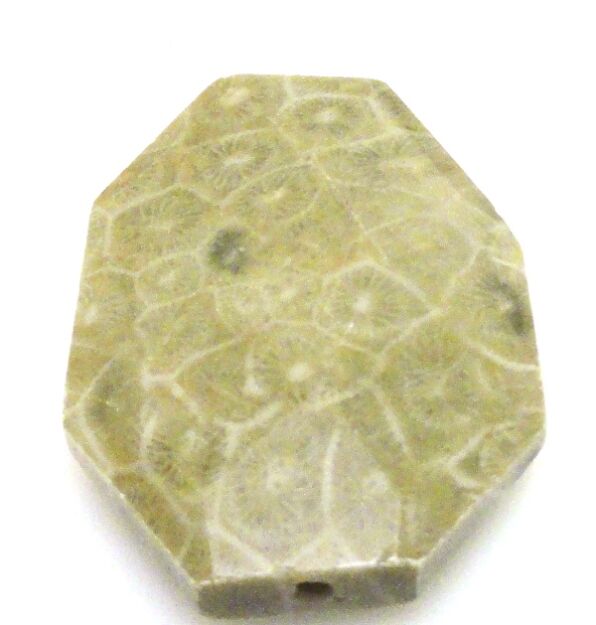 Jaspis Fossil - na wisior - wielokąt 42x30x10mm