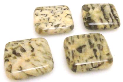 Jaspis tygrysi - kwadraty 20x20mm