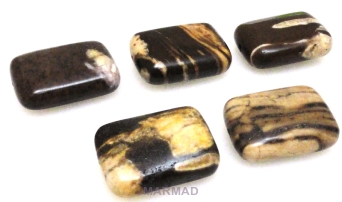 Jaspis cappuccino - prostokąt 20x15mm - zestaw 5 sztuk