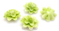 Koral z żywicą - kwiatek dalia 17mm - jasno zielony