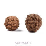 Rudraksha - 5 Mukhi- 8mm - 3