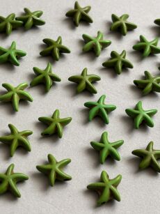 Howlit - rozgwiazda 14mm - zielony