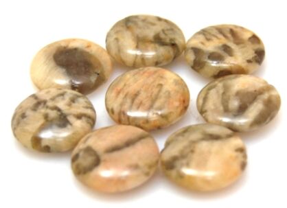 Jaspis tygrysi - moneta 16mm