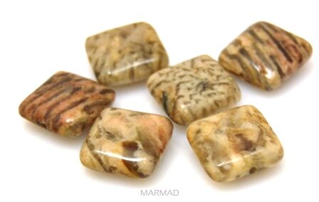 Jaspis tygrysi - kwadrat 15x15mm