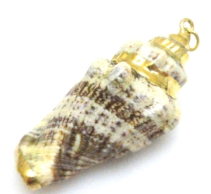 Zawieszka muszla 46x19x19mm