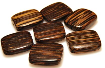 Dzika palma - prostokąt 25x20mm