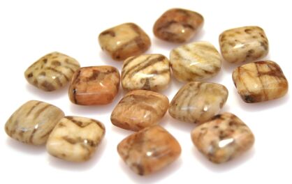 Jaspis tygrysi - kwadraty 12x12mm