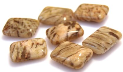 Jaspis tygrysi - prostokąt 20x15mm