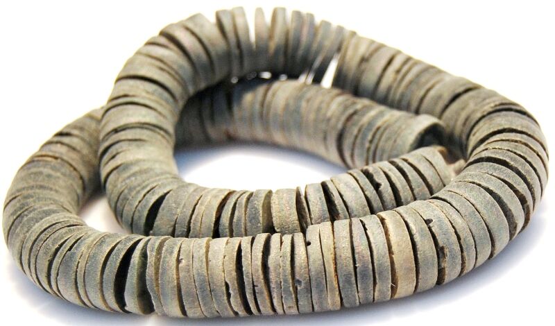 Muszla szara tęczowa -  krążki 14 mm