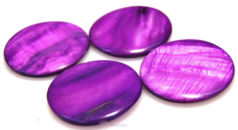 Muszla - moneta 35mm