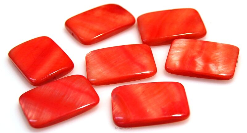 Muszla - prostokąt 25x18mm