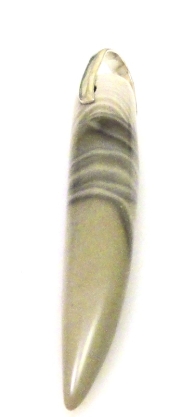 Zawieszka - krzemień pasiasty kieł 64x10x9mm + srebro 925