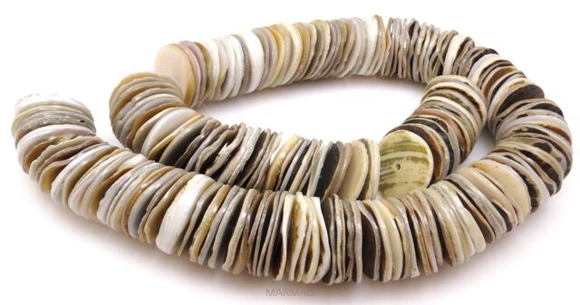 Muszla - talarki 22x2mm