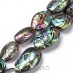 Naturalne korale muszli Abalone Paua 24x14 - 2
