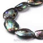 Naturalne korale muszli Abalone Paua 24x14 - 4