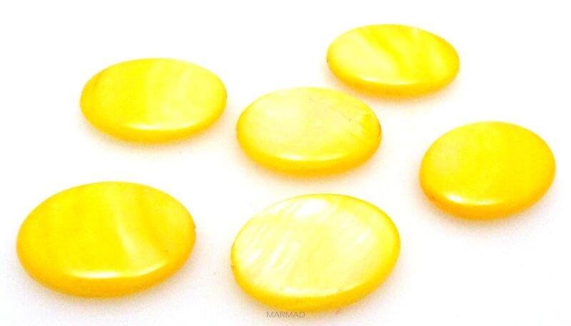 Muszla /Masa perłowa - owal 20x15mm