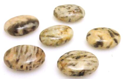 Jaspis tygrysi - owal 18x13mm